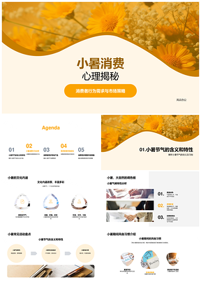 2025小暑消费需求防暑产品市场策略PPT模板