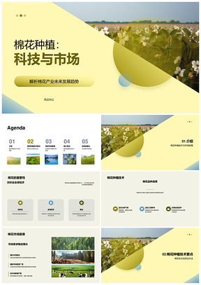 棉花种植前沿技术育种创新与市场机遇PPT模板