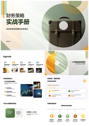 财务策略规划结构优化业务增长实战PPT模板