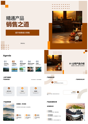 精通行李产品销售策略提升与特色分析PPT模板