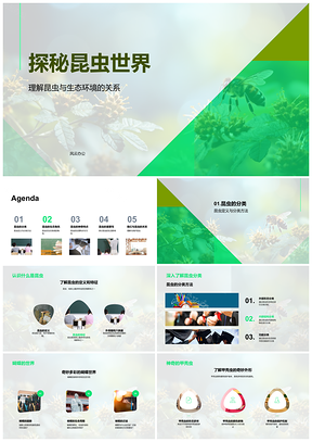 2025昆虫生态系统与蝴蝶甲虫蜜蜂探秘PPT模板