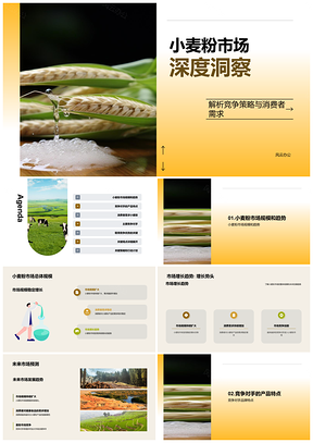 2025小麦粉市场竞争加工企业规模与销售团队分析PPT模板