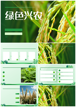 绿色兴农现代农业智能高效可持续发展PPT模板