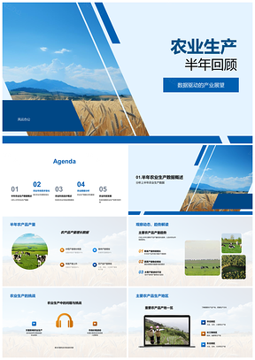 数据驱动农业科技创新稳小麦产量供需平衡PPT模板