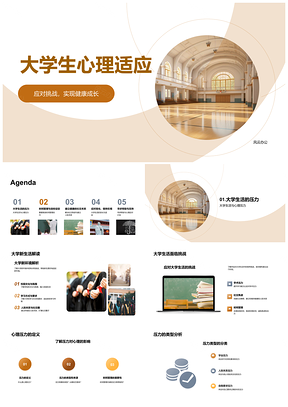 大学生心理适应压力管理社交时间规划健康成长PPT模板