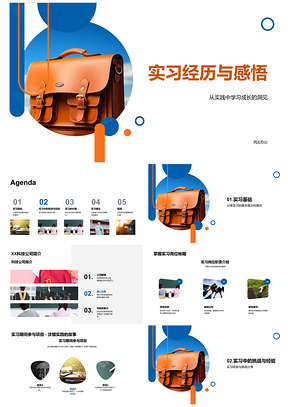 2025实习经历价值与职业规划基础PPT模板