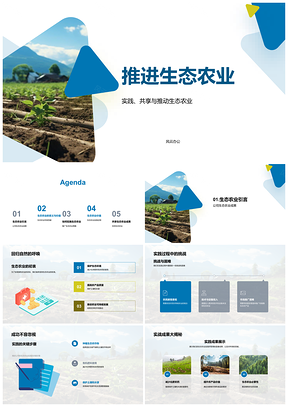 生态农业环保减药护水土政策市场农民绿田PPT模板