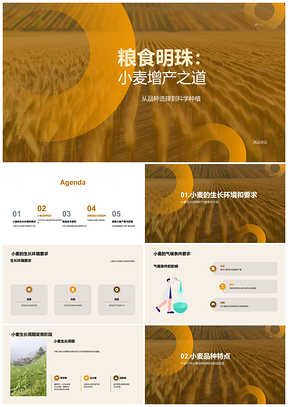 小麦品种栽培地域环境水肥周期麦田增产关键PPT模板