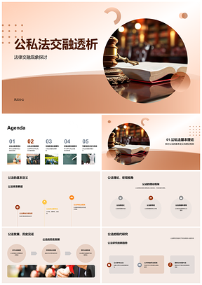 2025公私法交融权力权利互化透析PPT模板