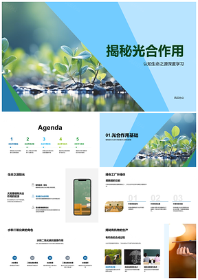 植物光合作用阳光叶绿体转化二氧化碳释氧PPT模板