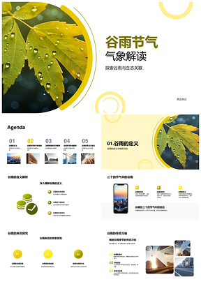 谷雨节气气象生态与传统习俗PPT模板