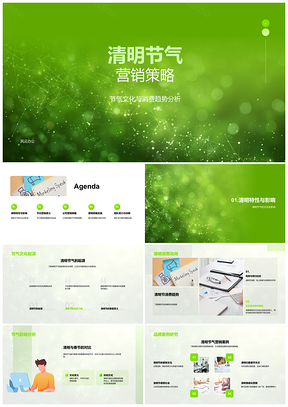 清明节气品牌营销策略消费趋势案例研究PPT模板