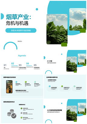 全球烟草市场风险潜力与农民种植策略PPT模板