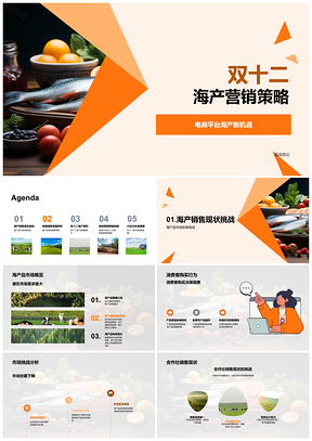 双十二海产电商销售策略渔业合作社消费者行为分析PPT模板