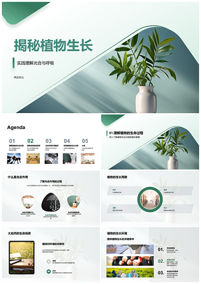 小学生探索植物生长周期与光合呼吸作用PPT模板
