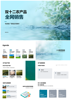 双十二农户农产品电商精准策略全网营销PPT模板