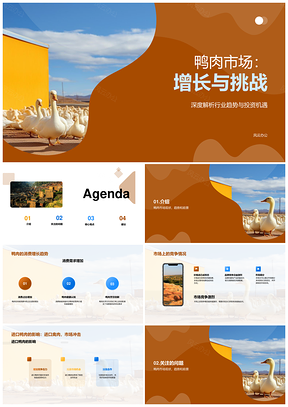 农林牧渔鸭肉市场现状前景与消费趋势PPT模板