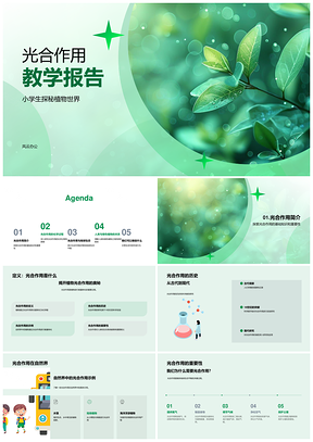 光合作用叶绿素环保造林平衡碳氧全球变暖PPT模板