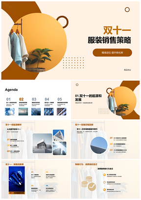 双十一服装销售精准定位转化率优化策略PPT模板
