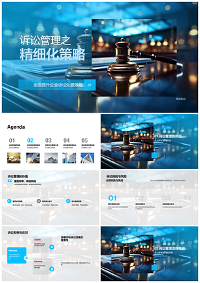 2025企业诉讼管理精细化提升处理效能应对风险PPT模板