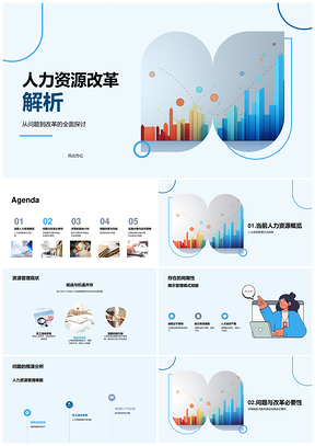 2025人力资源改革局限必要框架策略风险图解PPT模板