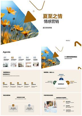 夏至情感营销策略产品经理销售团队向日葵决策PPT模板