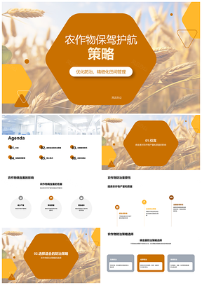 农作物病虫害科技防治助农增产保质合理用药PPT模板