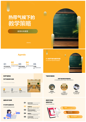 暑期热带教学策略优化提升学习效率PPT模板