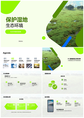 湿地生态保护与生物多样性维护PPT模板