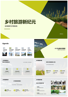 2025乡村旅游全球趋势中国开发者农耕民俗景观实践PPT模板