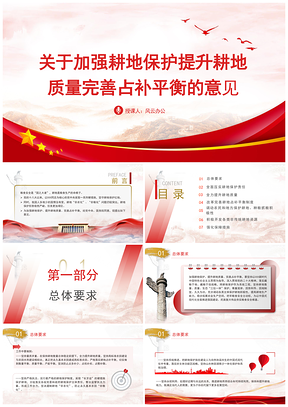 耕地保护质量提升占补平衡意见学习课件