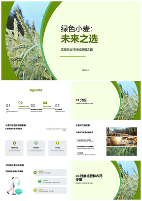 绿色小麦可持续种植培训应对水土气候变化PPT模板