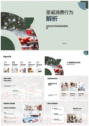 圣诞消费行为影响因素与营销策略调整PPT模板