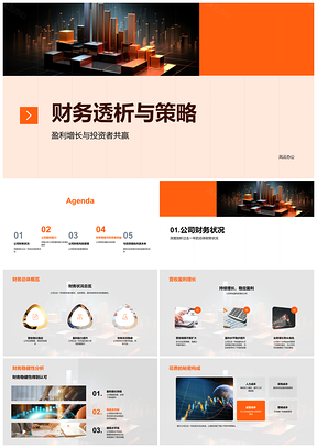 财务透析策略驱动盈利增长与投资者共赢PPT模板