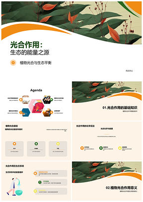 高中生物植物光合作用过程能量转化PPT模板