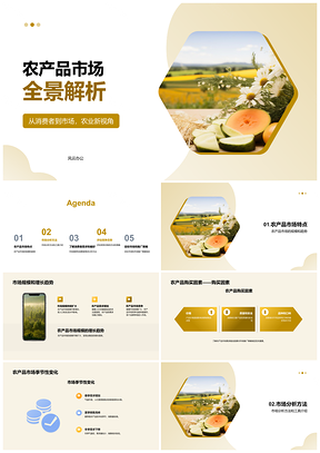农产品市场规模趋势及消费因素与推广策略分析PPT模板