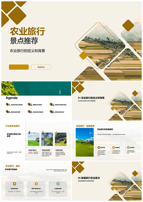 2025国潮农业旅游景点体验发展趋势PPT模板
