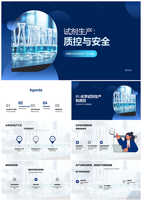 2025化学试剂生产质控标准与安全检测包装PPT模板