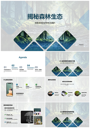 森林生态系统多样性保护应对全球变暖PPT模板