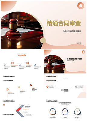 2025合同审查条款权责公平执行常见法律问题PPT模板
