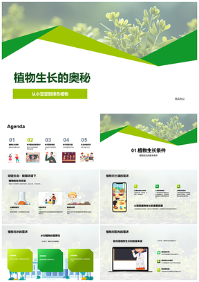 小学科学课探索豆种发芽与植物生长PPT模板
