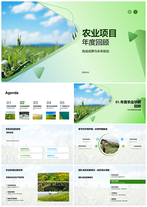 2025小麦田农机化肥农药团队发展增效年总结PPT模板