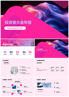 2025投资者大会年报医保金融财务业务模式净利增长医疗新技术PPT模板