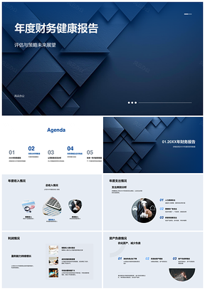 2025年度财务健康报告收支利润资产负债现金流分析策略PPT模板