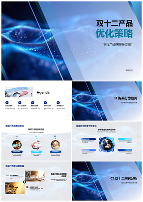 2025双十二产品优化策略数据驱动机器学习模型预测PPT模板