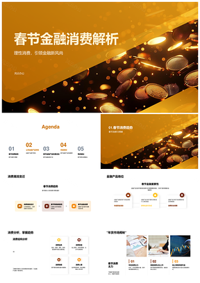 2025春节金融理性消费产品特色与风险防控PPT模板