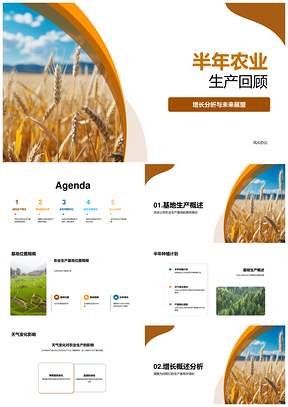 2025农业生产增长技术提升与未来展望PPT模板