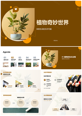 植物生命奇迹生长繁殖适应无限PPT模板