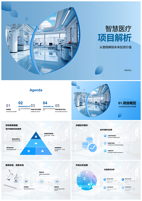智慧医疗项目关键技术投资市场用户分析PPT模板