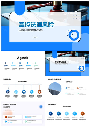 企业法律风险防控实战管理PPT模板